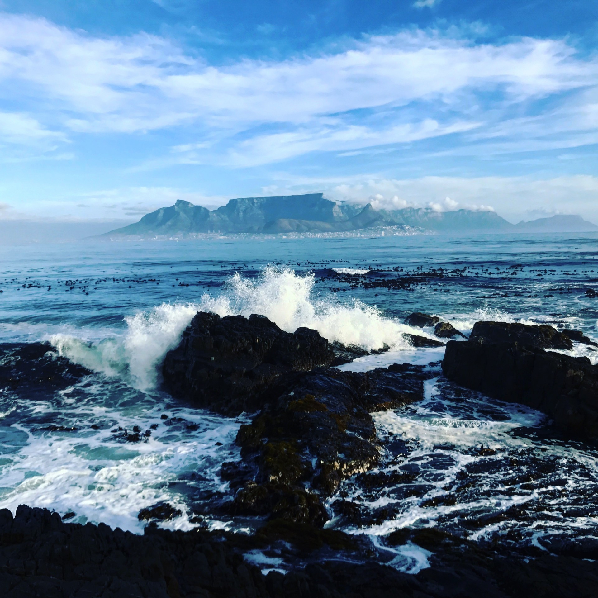 11 Best Cape Town Tours › Worldwidewendy